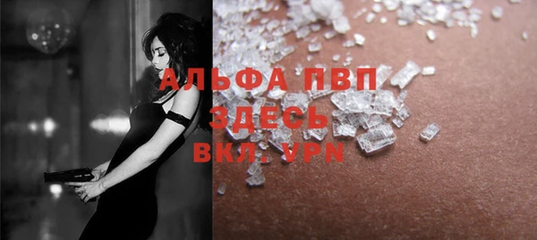 гидра Надым